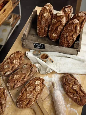 Puratos acquires THT to further accelerate developments in Gut Health 