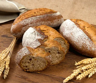 Easy Puravita Pain Bien-Être