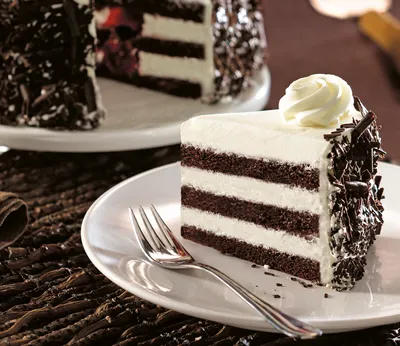 Tegral Biscuit Choco